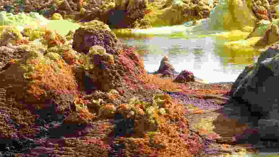 Sulphur Springs, Dallol