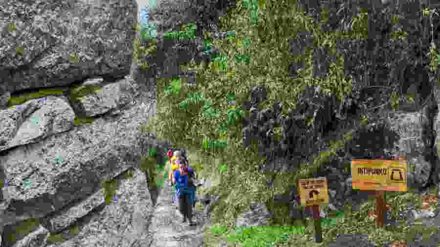 Trail to Machu Pichu