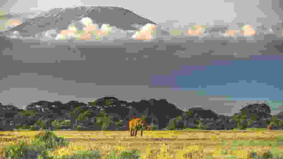 Amboseli National Park