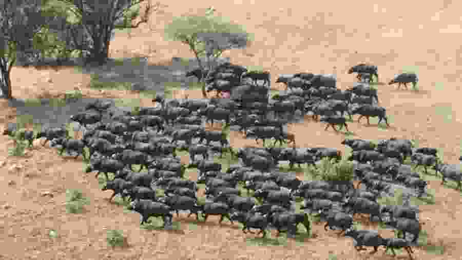 Tarangire National Park
