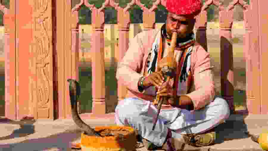 Snake Charmer