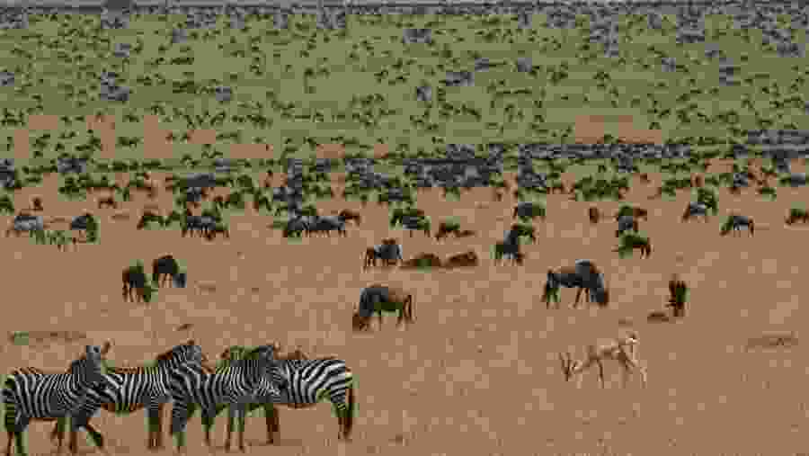 Serengeti National Park