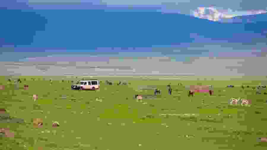 Indulge in the Ngorongoro Crater safari