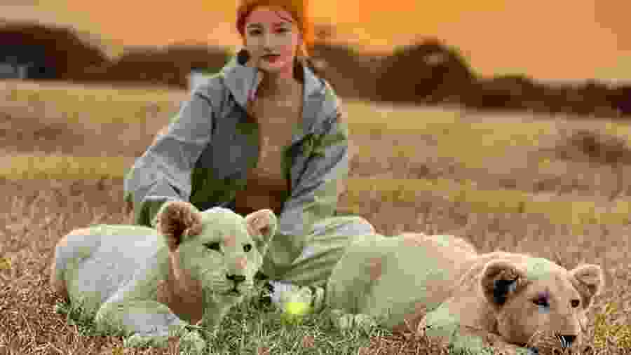 Photography with the lioness at Serval Wildlife Sanctuary