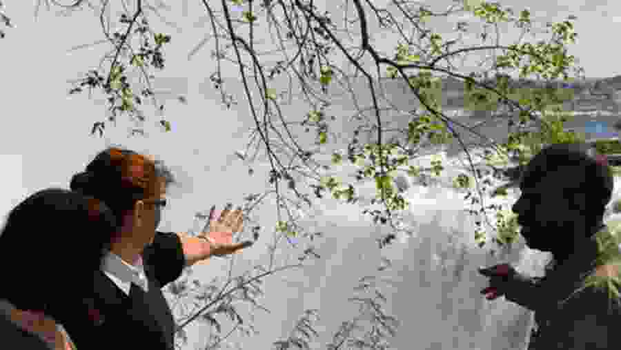 Guided Tour