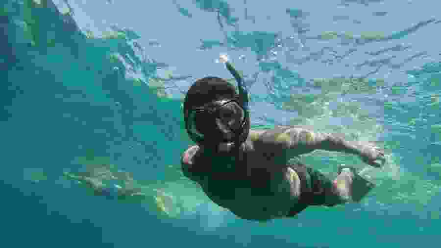 Snorkeling