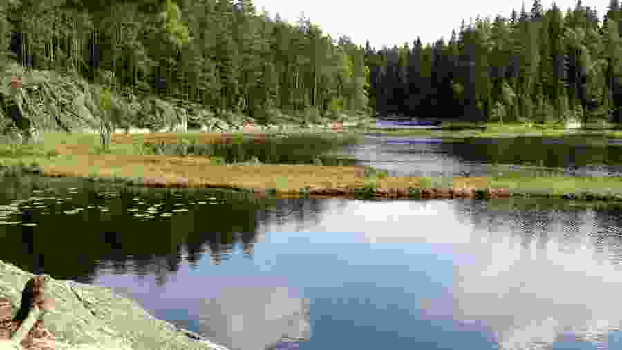 Nuuksio National Park Finland