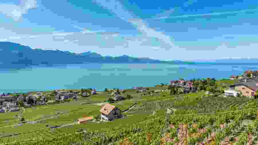 Geneva