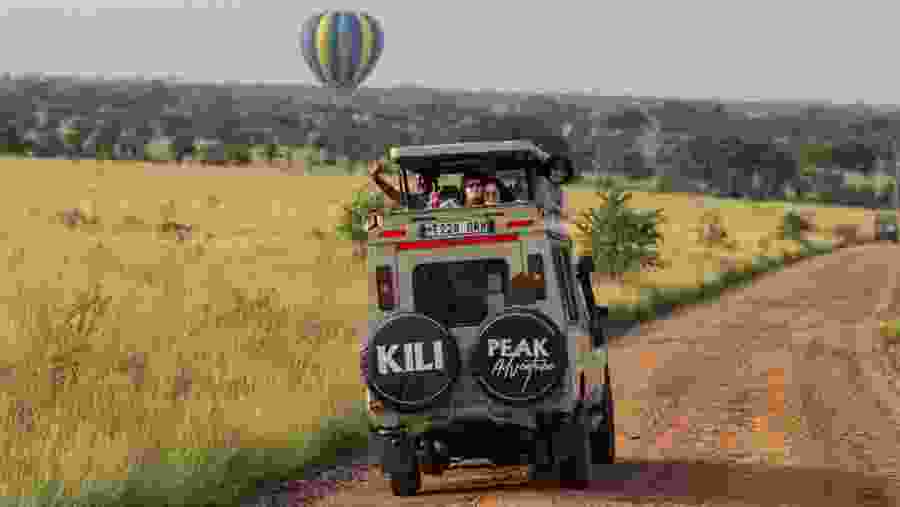 Safari Experience