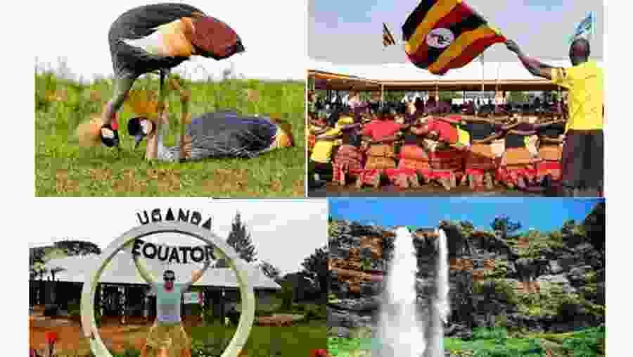 Wildlife safari tour in Queen Elizabeth National Park