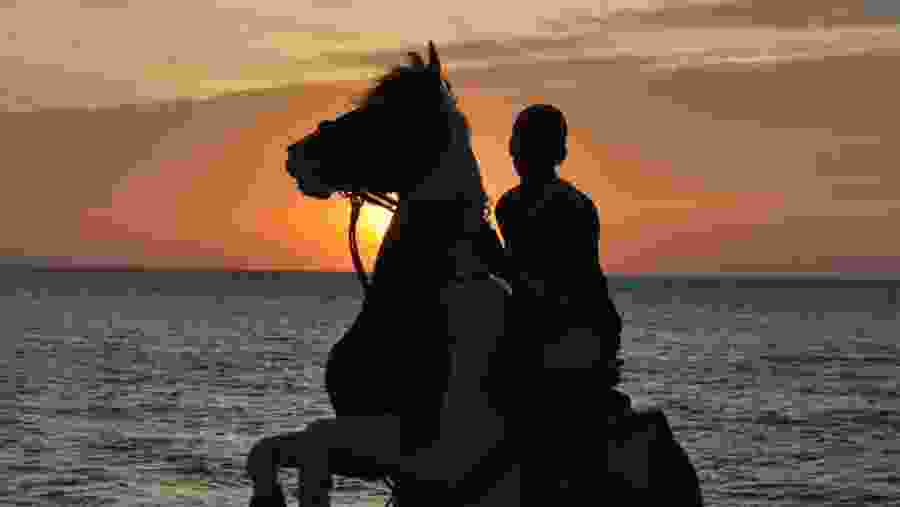 Horse Riding In Kalpitiya