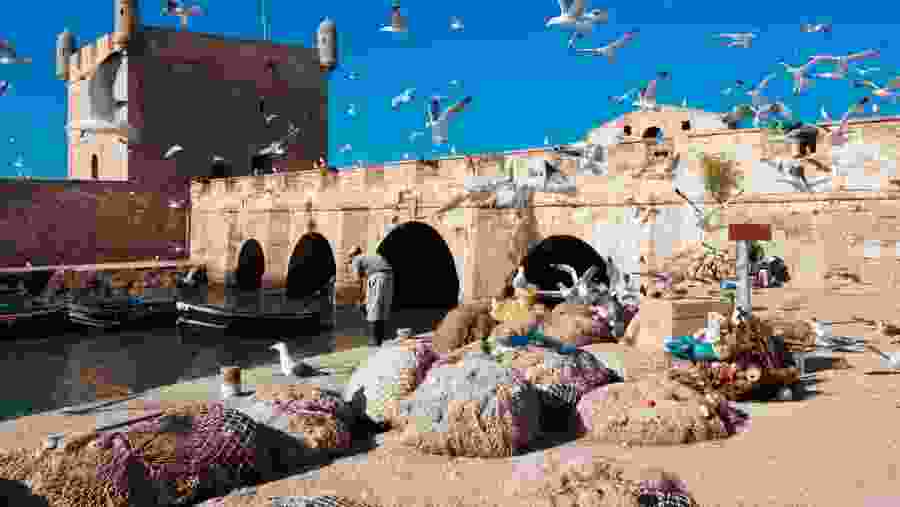 Essaouira Citadel