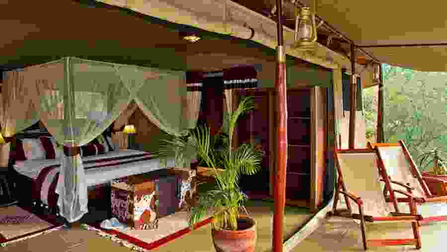 Enjoy a Luxurious Stay at Mara Bush Camp