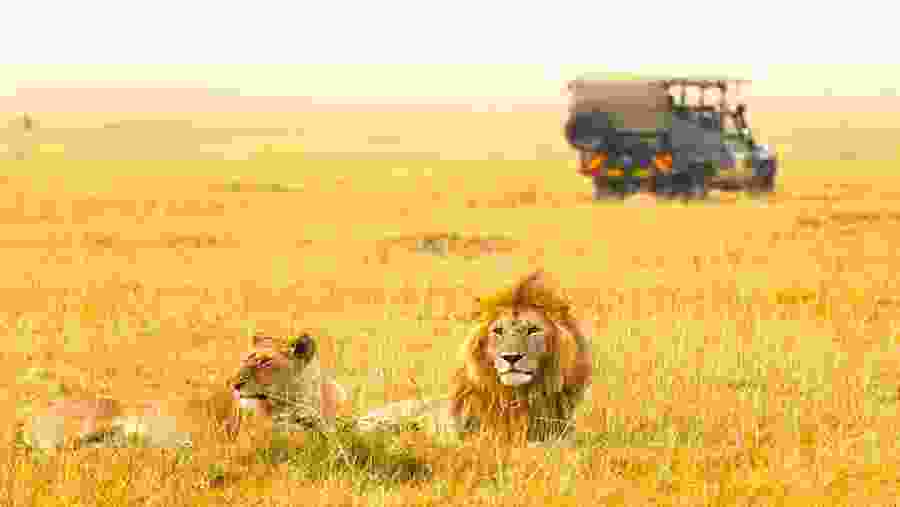 Serengeti National Park