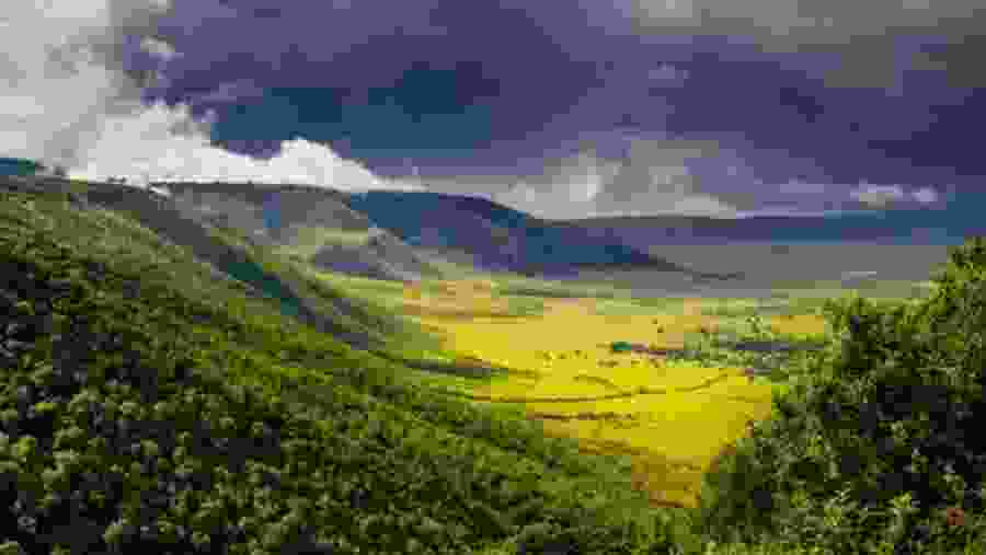 Beautiful view