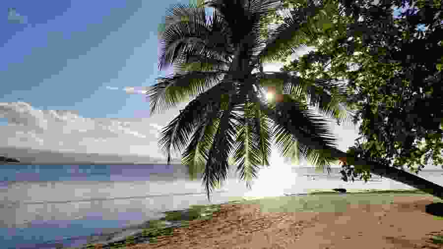 Local Scenes - Fiji