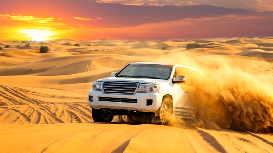 Dune Bashing