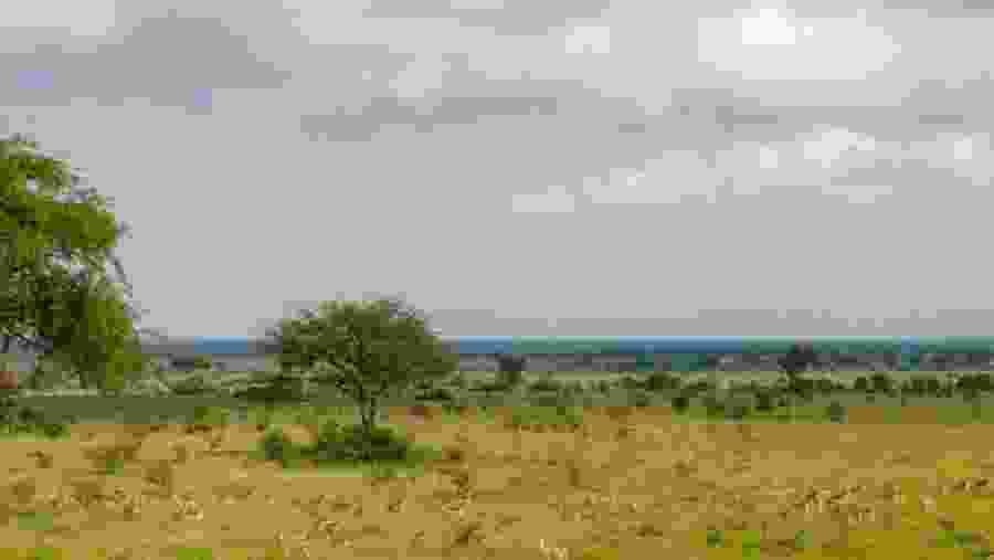 Queen Elizabeth National Park