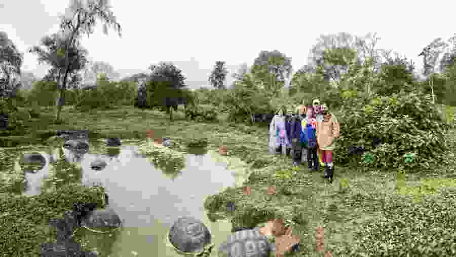 Giant Tortoise Reserve