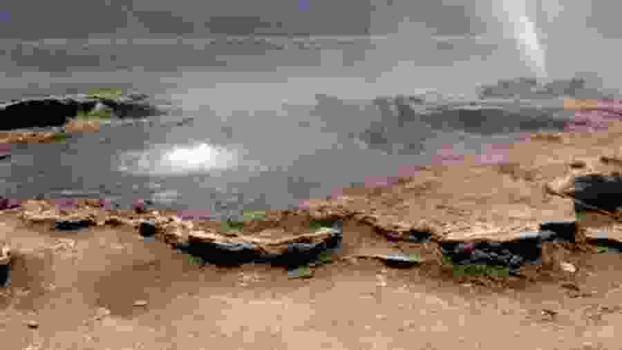 Shell Spring