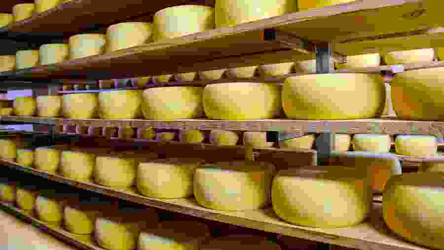 Cheese Factory in Terceira Island