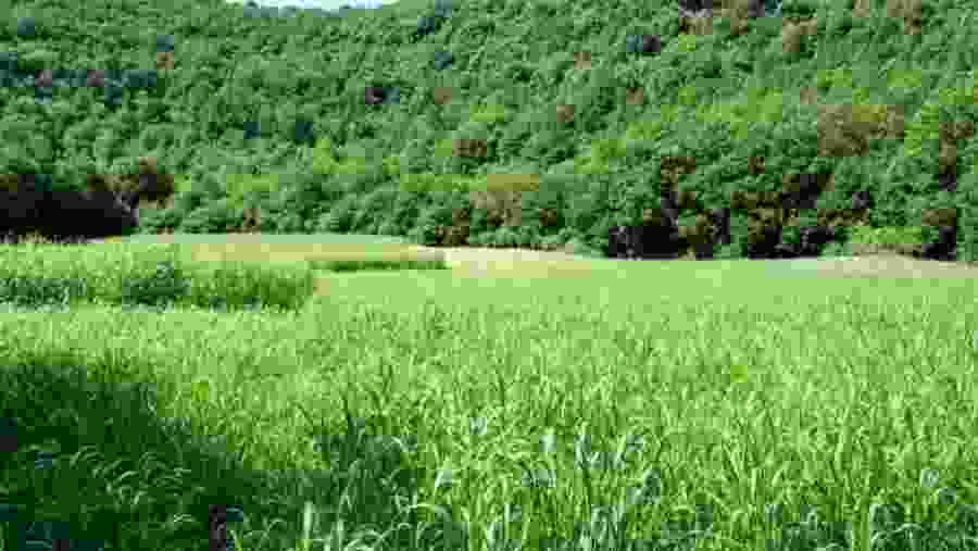 Pozzatina Doline