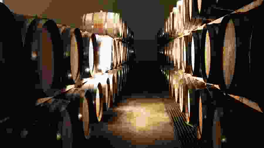 wine cellar