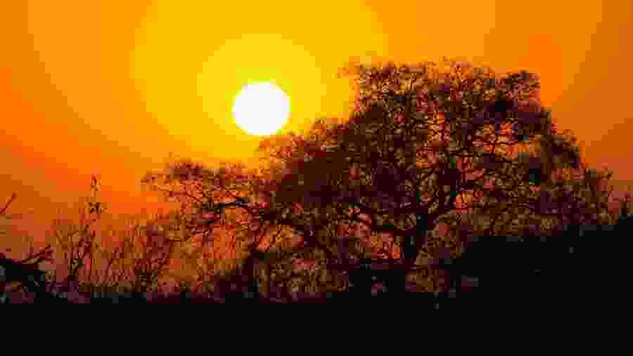Marvel at picturesque evening views in Kruger National Park