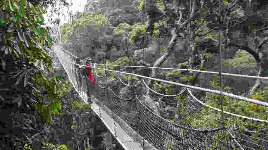 Nyungwe Forest National Park