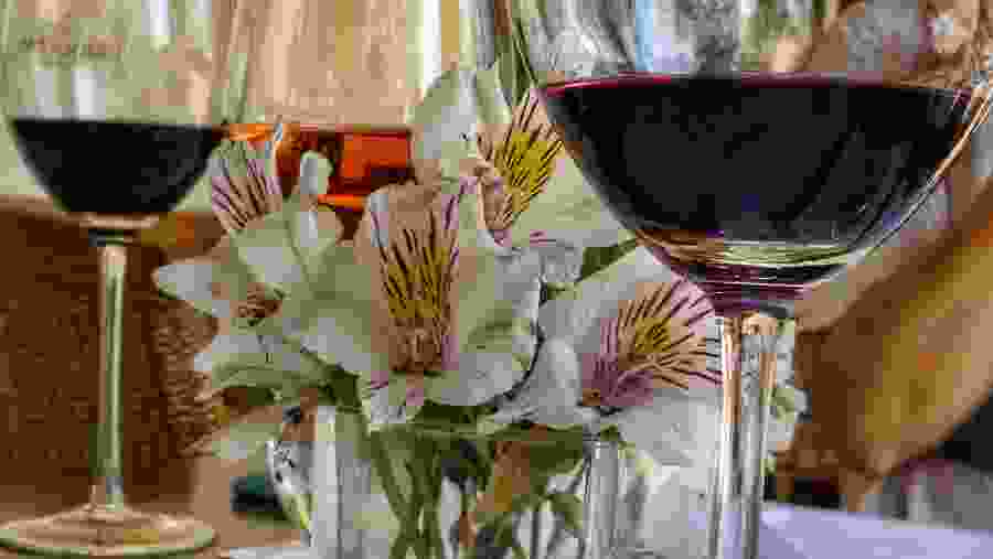 Different Varieties of Wine, Luján de Cuyo, Mendoza