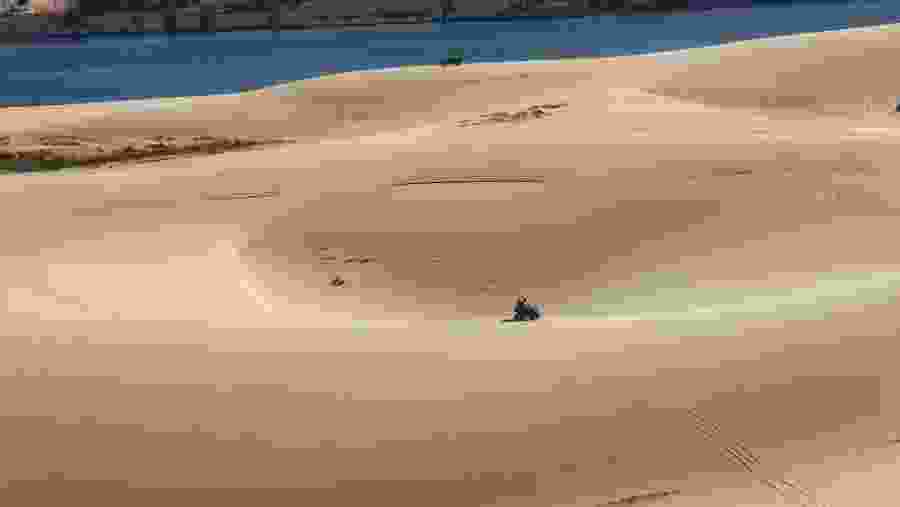 Sand dunes at the Beach