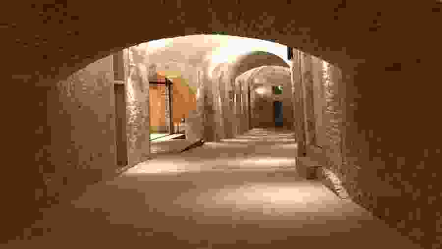 Venture to Siena