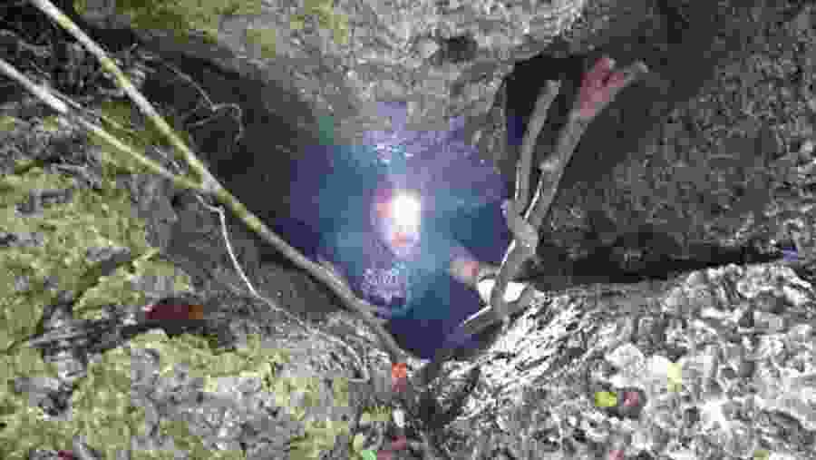 Coral Cavern