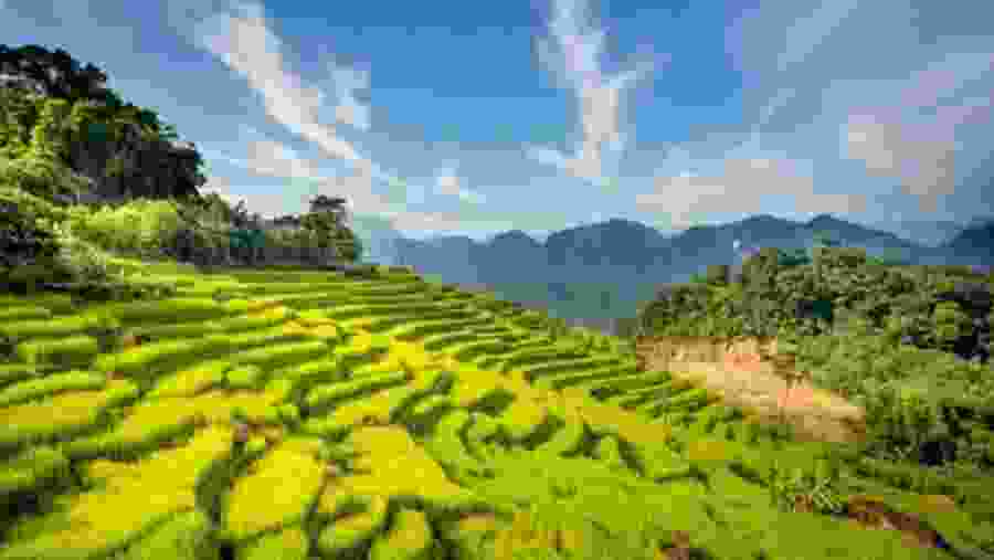 Khu Bảo Tồn Thiên Nhiên Pù Luông