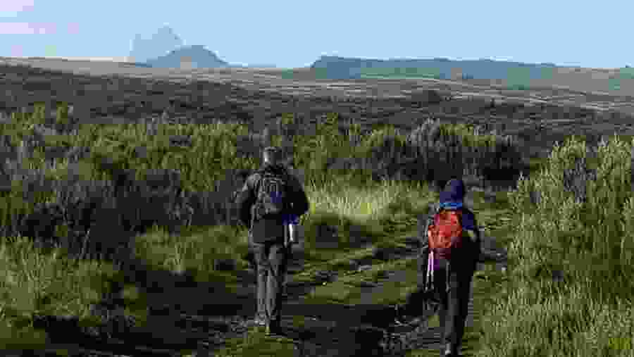 Marvel at the scenic Kenya