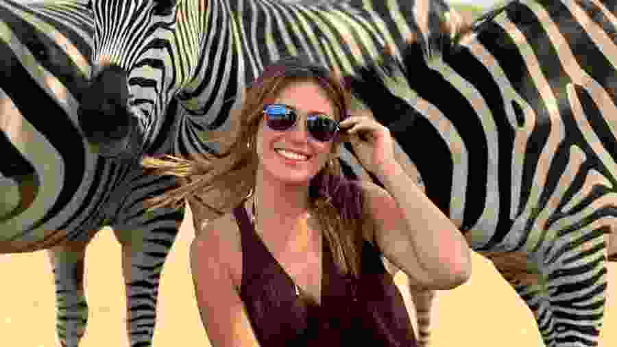 Zebras