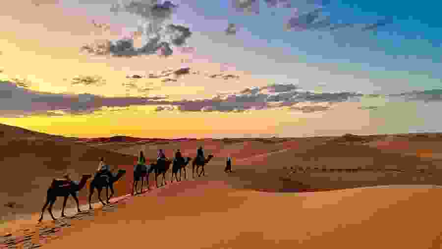 Merzouga Desert