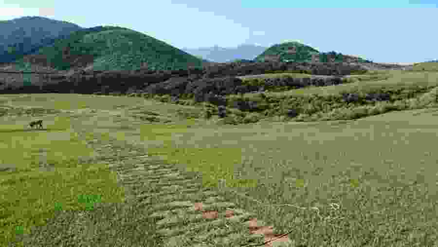 Explore the incredible Yamingshan National Park