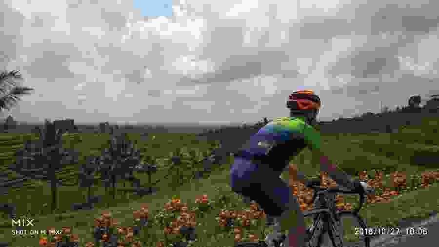 Terraced Jatiluwih Rice Fields