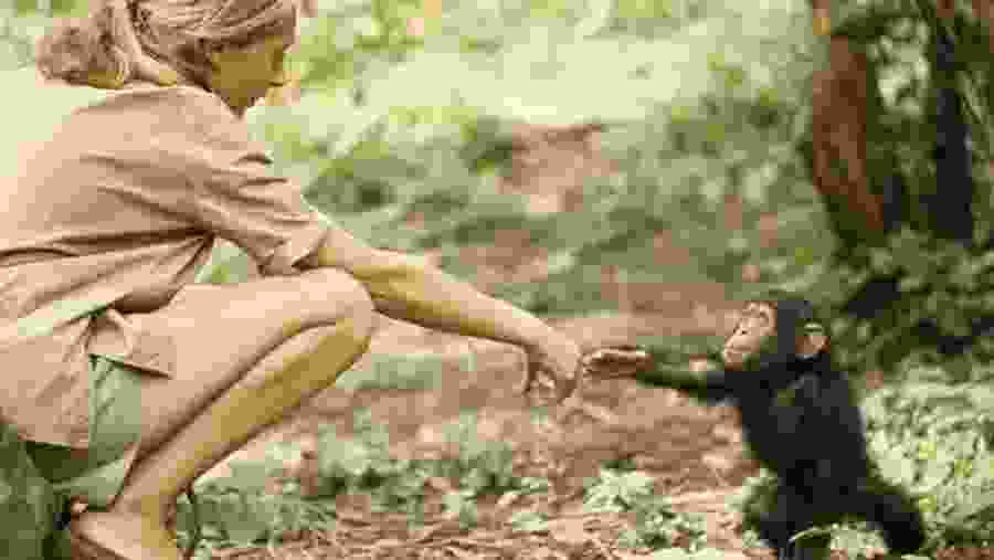 Young Jane Goodall with Baby Chimpanzee