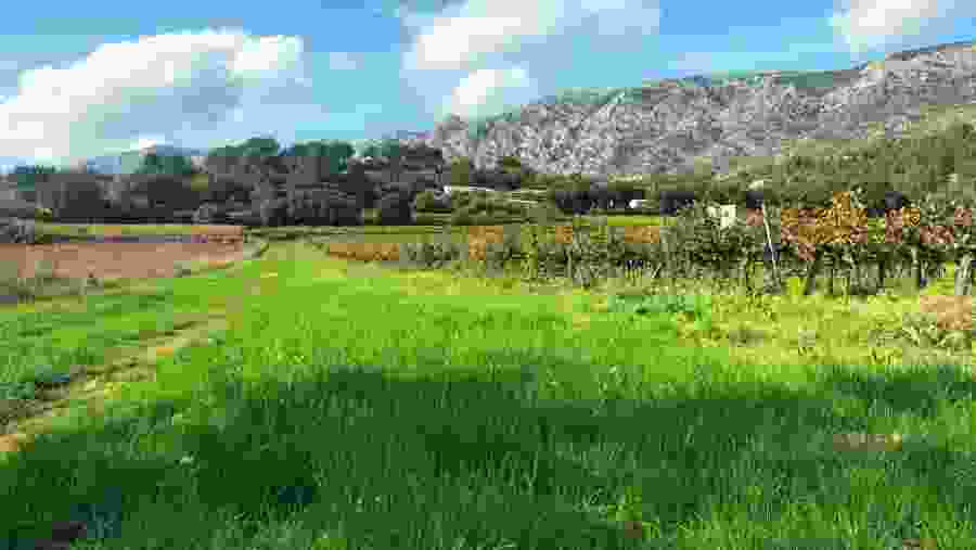 admire the beautiful landscapes around Sainte Victoire mountain