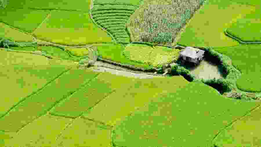 Pu Luong Nature Reserve