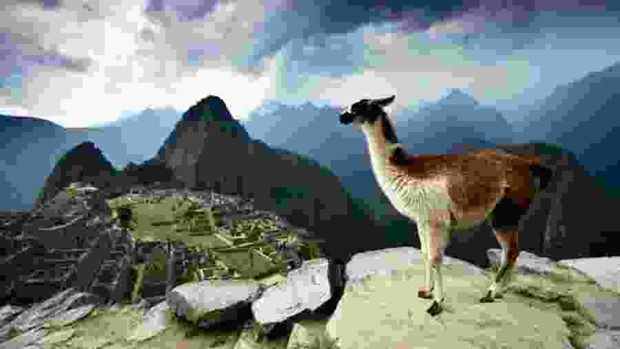 Machu Picchu Scenic View