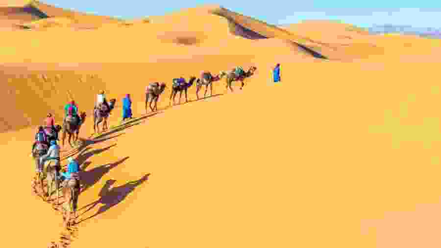 Merzouga Desert