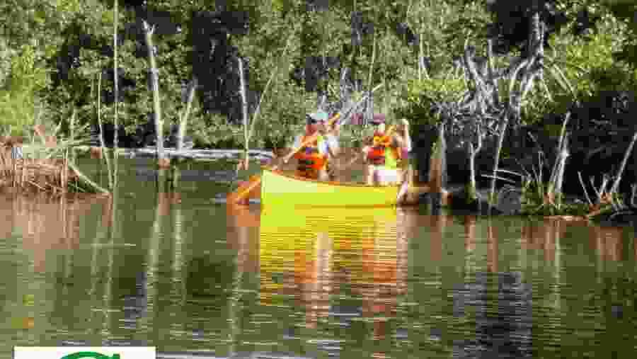 Canoeing In The Lagoon Of Unawatuna, Sri Lanka