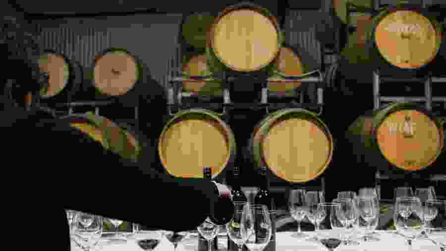 Visit wine cellars
