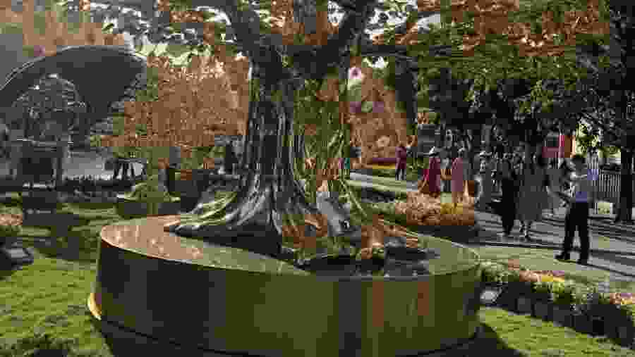 Vietnam Golden Lucky Tree