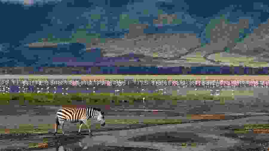 Ngorongoro Crater floor