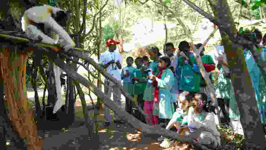 National Park Tour
