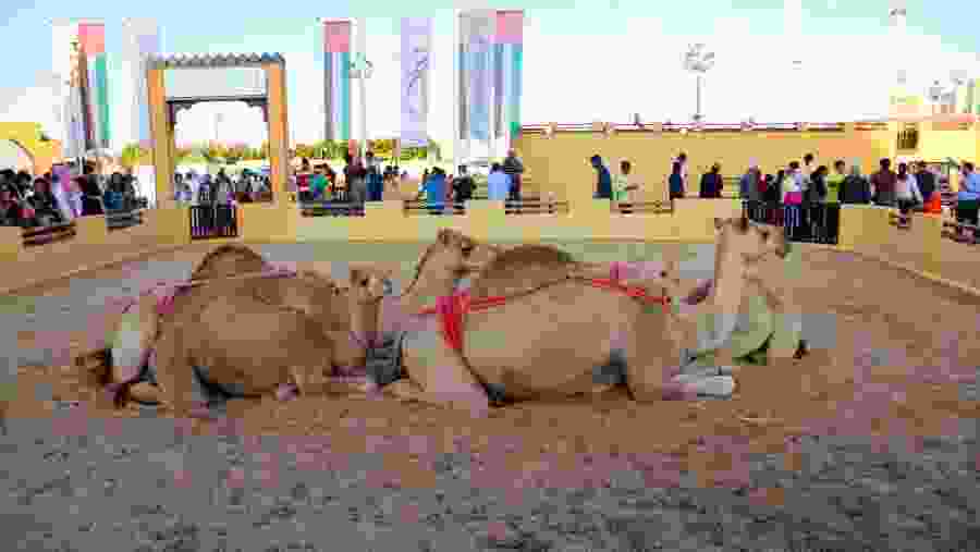 Visit the Global Village in Dubai